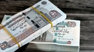 موعد صرف معاشات أبريل 2026 والتفاصيل الضرورية للصرف في موعده